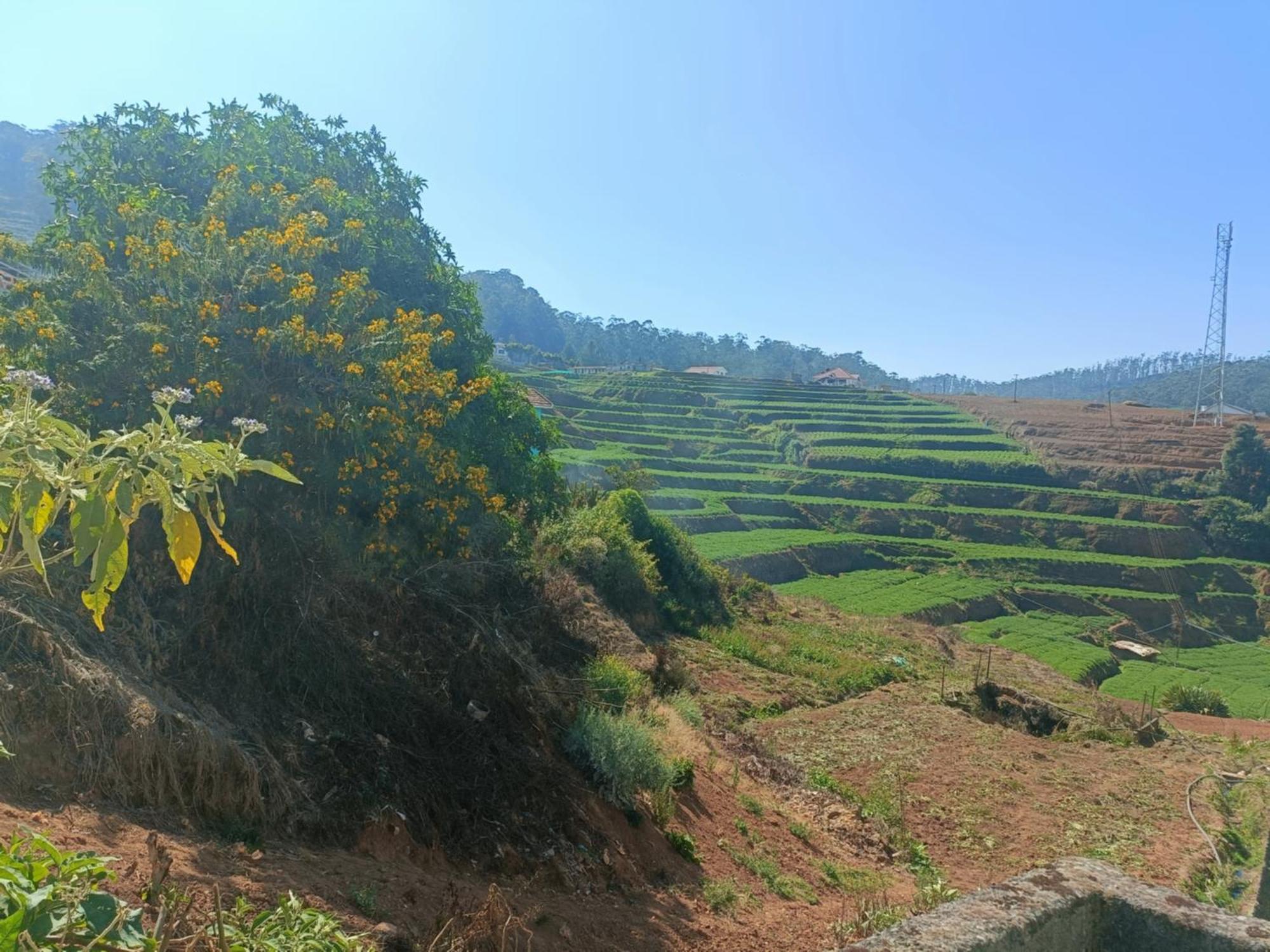 Queens Cottage - Individual Cottage Ooty Luaran gambar