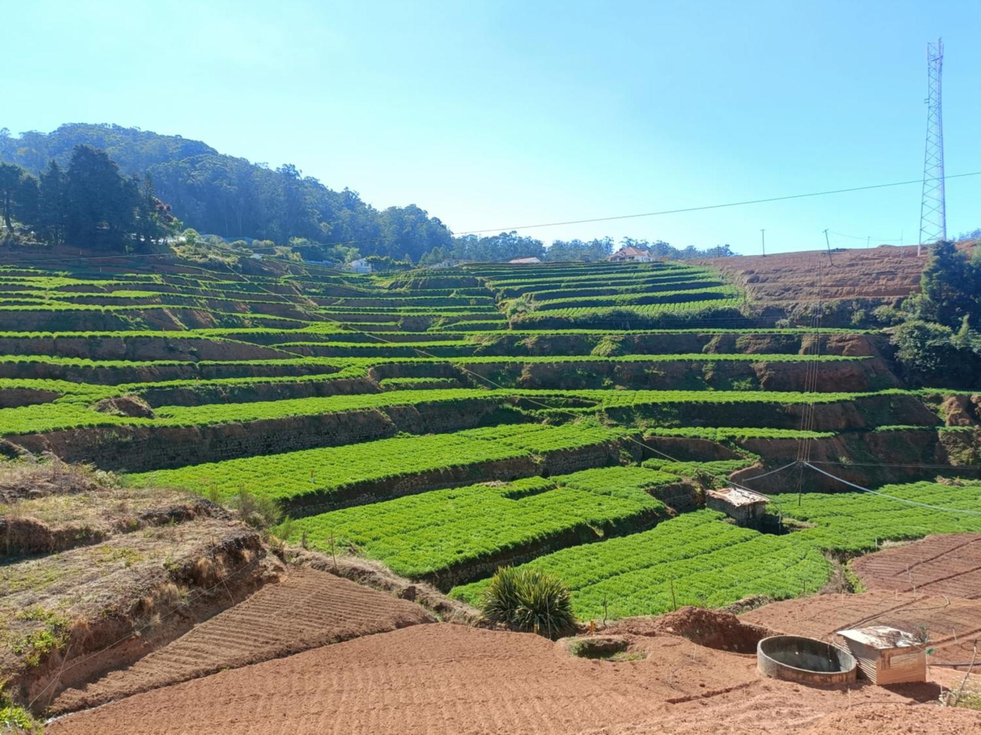 Queens Cottage - Individual Cottage Ooty Luaran gambar